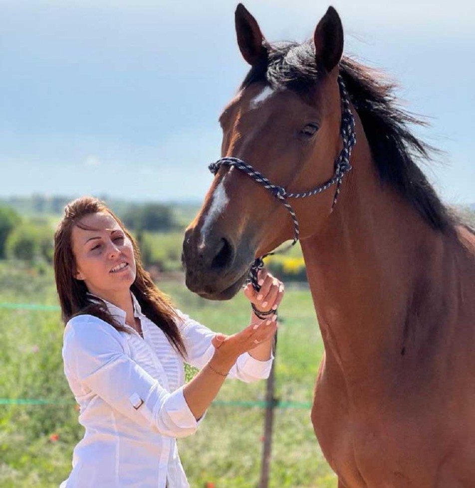 July Soins Equins les débuts